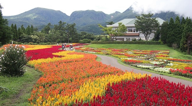 Kuji Flower Park