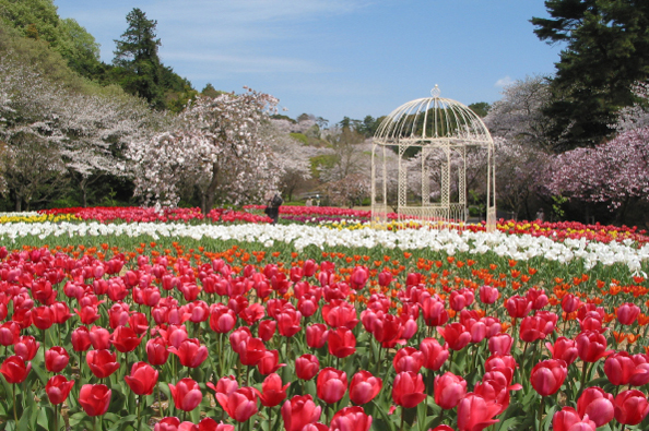 Hamamatsu Flower Park