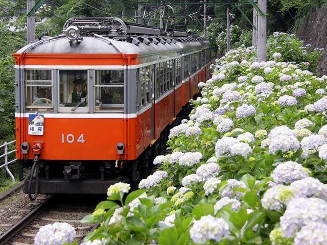 Hakone Tozan Railway, Hakone