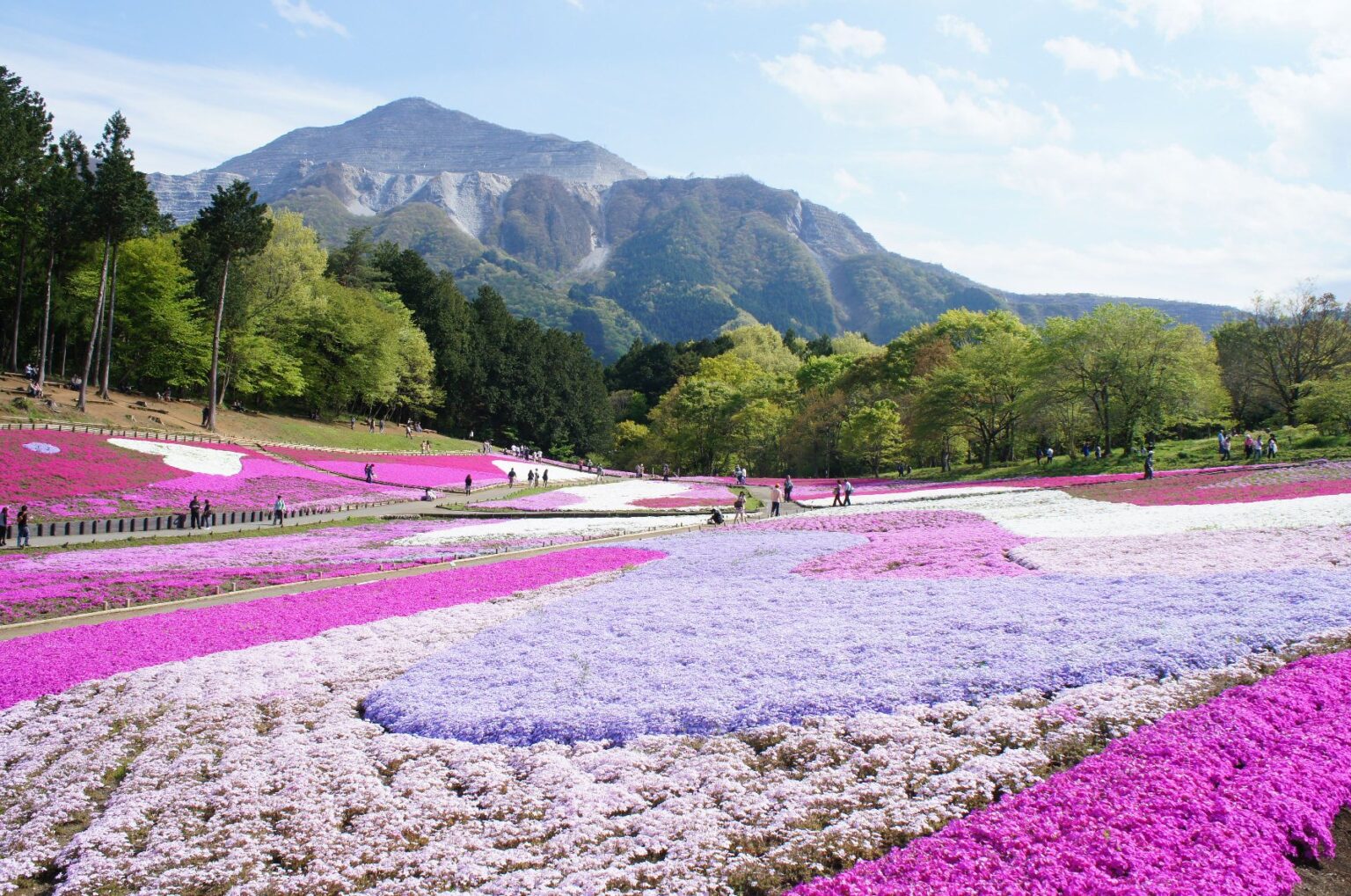 Flower Garden around Japan, must see Most popular flower garden around