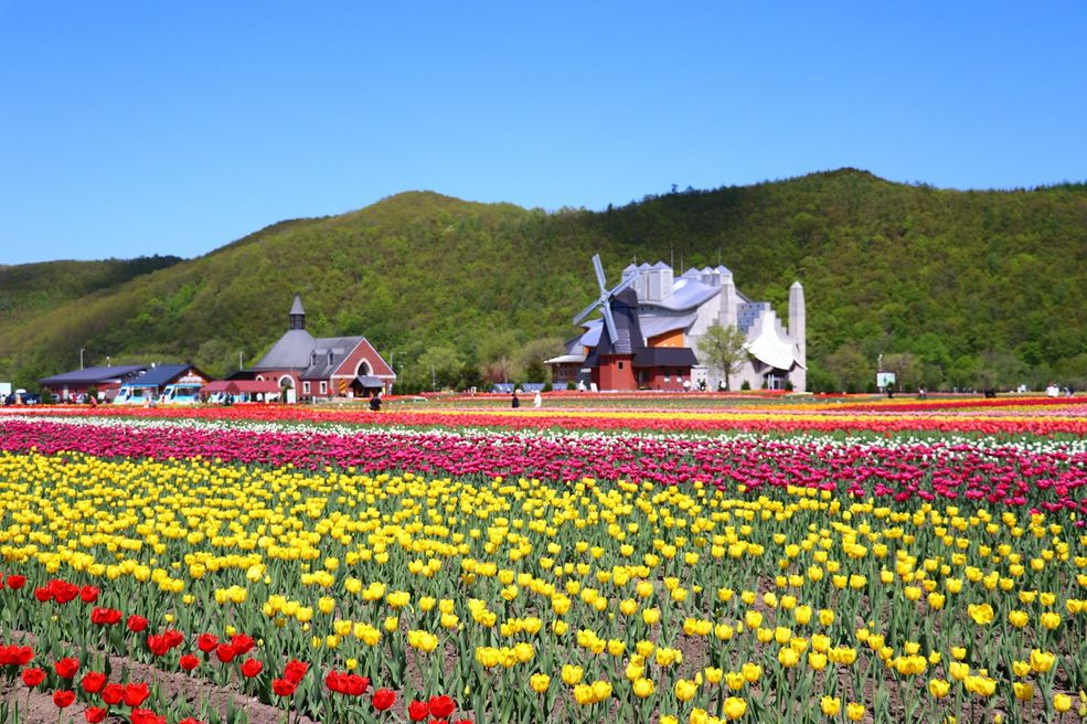 Kamiyubetsu tulip park