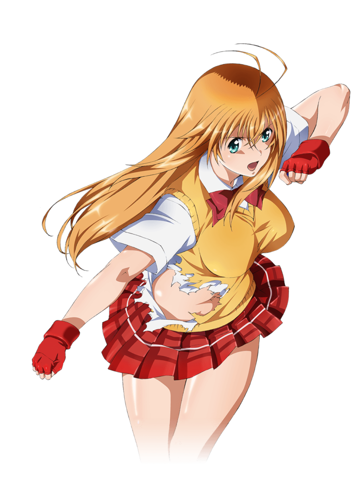 Shin Ikki Tousen