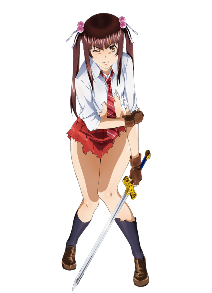 Shin Ikki Tousen