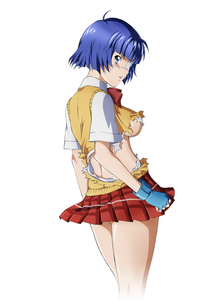 Shin Ikki Tousen