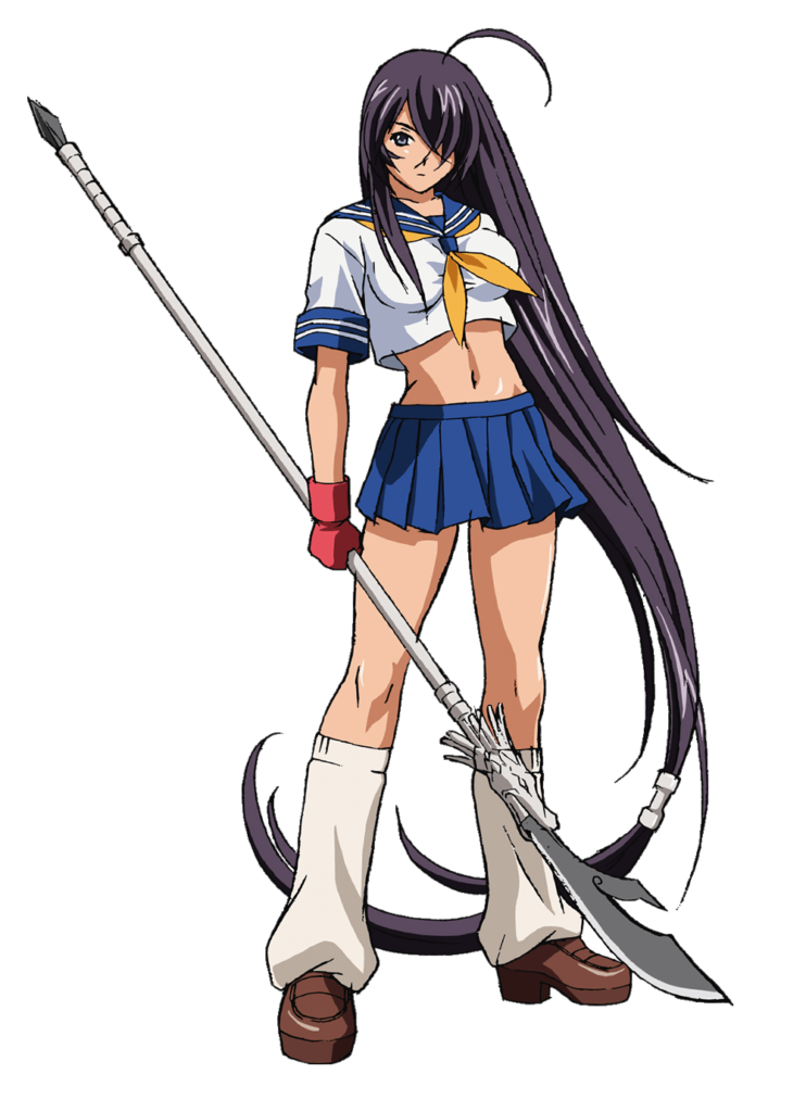 Shin Ikki Tousen