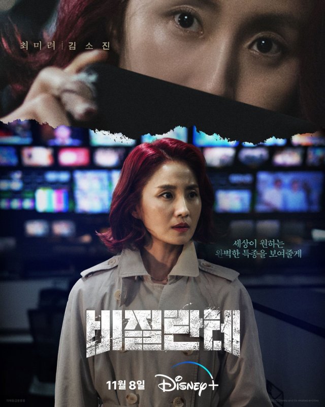 Vigilante Korean drama